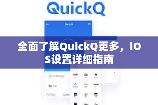 全面了解QuickQ更多，iOS设置详细指南