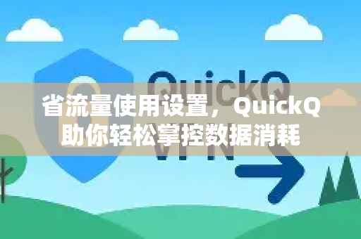 省流量使用设置，QuickQ助你轻松掌控数据消耗