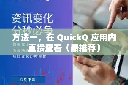 方法一，在 QuickQ 应用内直接查看（最推荐）