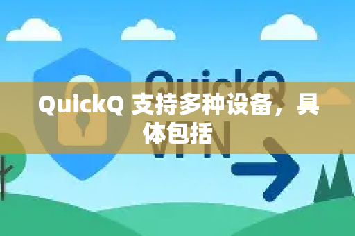 QuickQ 支持多种设备，具体包括