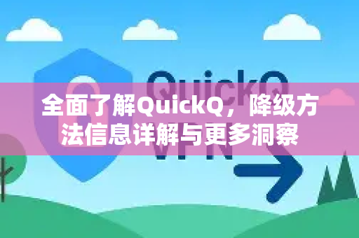 全面了解QuickQ，降级方法信息详解与更多洞察