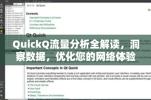QuickQ流量分析全解读，洞察数据，优化您的网络体验