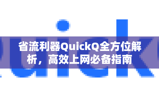 省流利器QuickQ全方位解析，高效上网必备指南